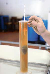 Quentin Witherspoon uses a hydrometer to test the alcohol content in a batch of whiskey.David Minton - DRC