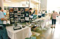 People visit with exhibitors during North Texas Fossil Day at the University of North Texas on Wednesday.David Minton
