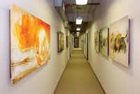 Artwork adorns the hallways of the renovated Texas Building on Thursday in Denton.Al Key - DRC