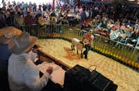 Harley Bridges of Ponder shows her Champion Fine Wool sheep at the Denton County Livestock Association Youth Fair Livestock Auction, Saturday, March 30, 2013, at the North Texas State Fair Grounds in Denton, TX.David Minton - DRC