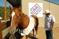 Bob Williams of Ranch Hand Rescue in Argyle shows how Shelby, a horse rescued from Collin County, is recovering from a huge open wound on her hip. The wound has since shrunk to half its size after cold laser and hydrotherapy treatments